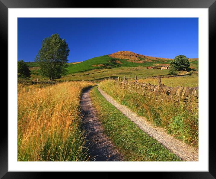 Footpath to Callow Bank  Framed Mounted Print by Darren Galpin