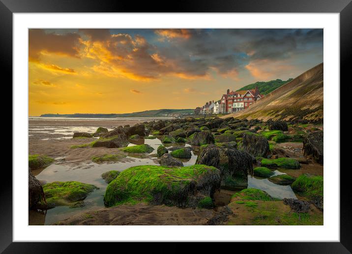 Seaweed on the Rocks Framed Mounted Print by Darren Ball