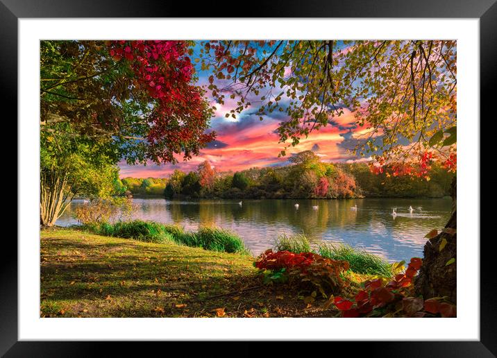 Autumn Lakeside Framed Mounted Print by Darren Ball