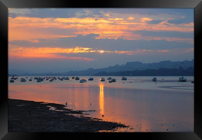 beautiful teign estuary sunset Framed Print by kevin murch