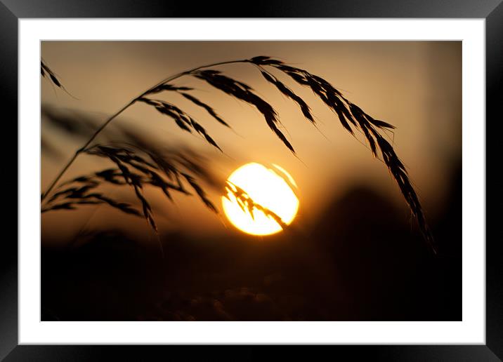 Time to Harvest Framed Mounted Print by Mark Kendrick
