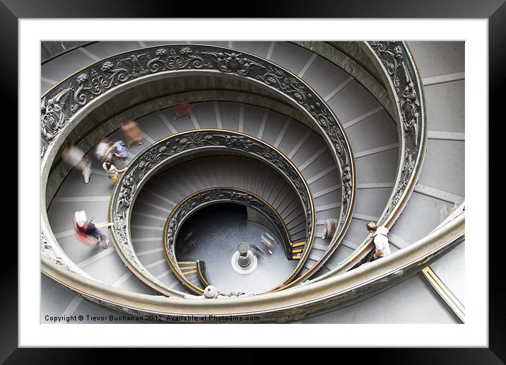 Staircase in the Vatican Museums Framed Mounted Print by Trevor Buchanan