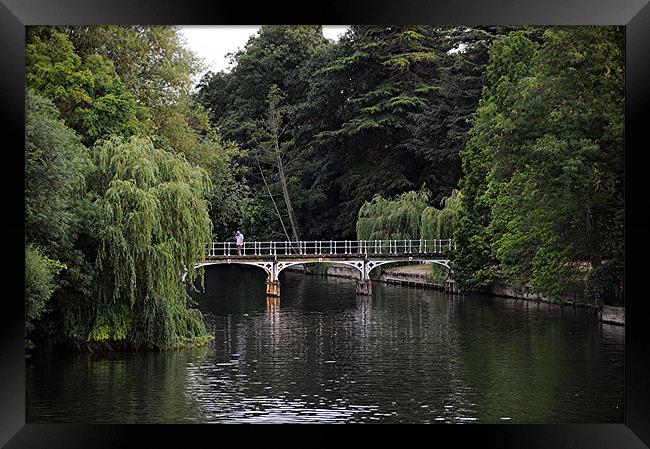 River Thames at Maidenhead Framed Print by Paul Judge