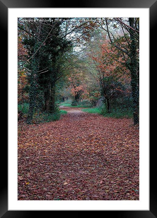 Dinton Pastures Country Park Framed Mounted Print by Paul Judge