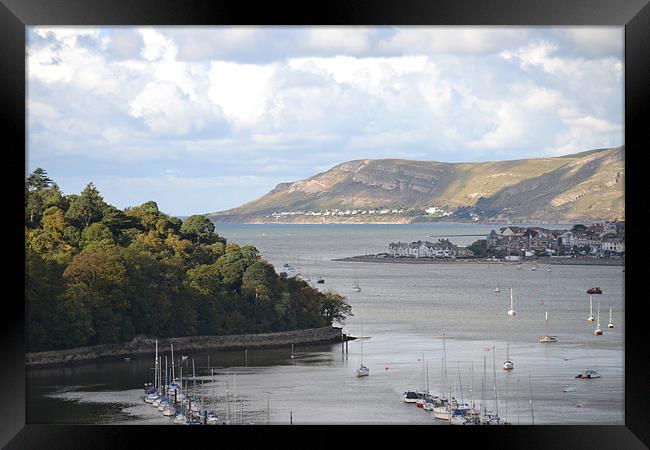 View from Conwy Castle Framed Print by Shannon  Ward