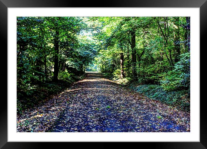 Bradley Woods Grimsby in Autumn Framed Mounted Print by paul jenkinson