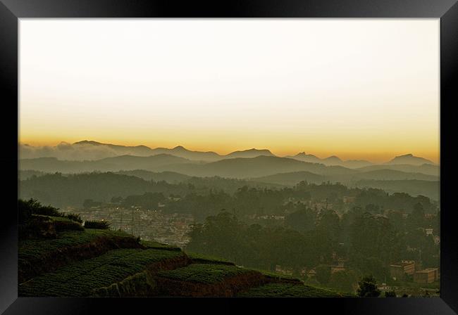 Ooty at Sunset Framed Print by Norwyn Cole