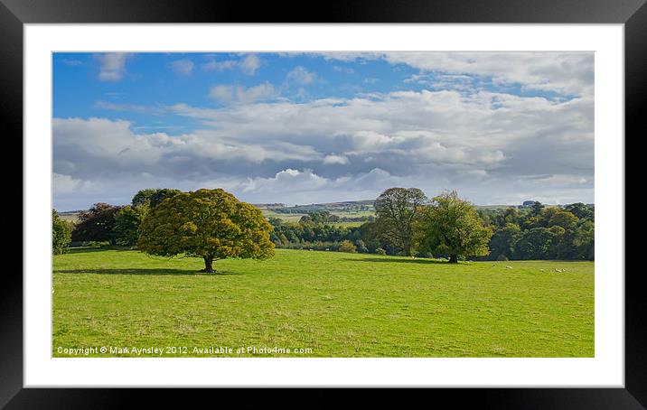 Green and pleasant land. Framed Mounted Print by Mark Aynsley