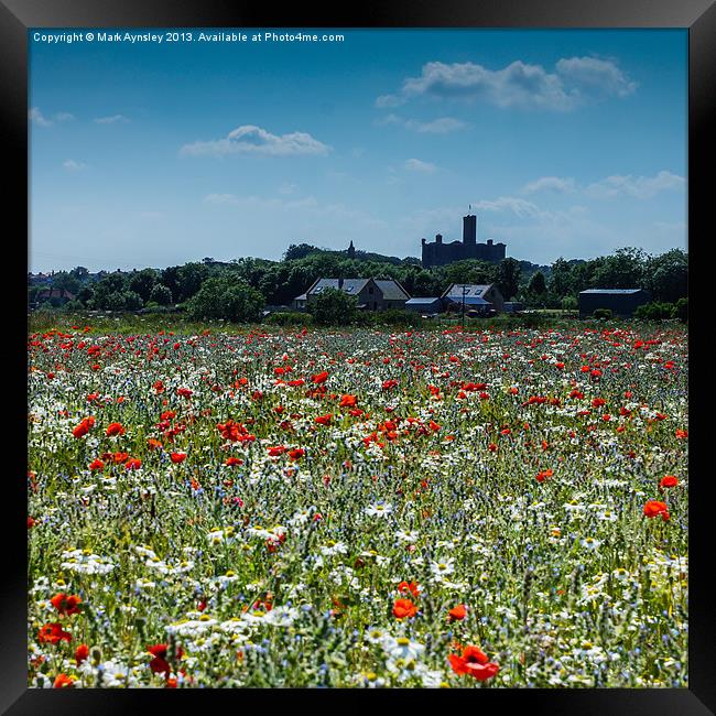 Warkworth meadow. Framed Print by Mark Aynsley