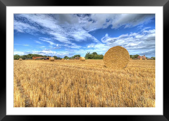 Harvest time in suffolk Framed Mounted Print by Paul Nichols