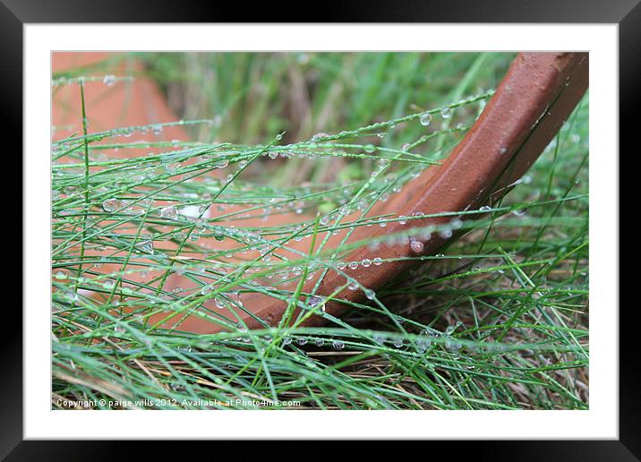 Grass In The Rain Framed Mounted Print by paige wills