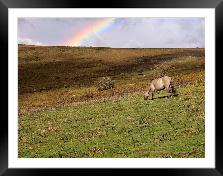 Dartmoor, South Devon Framed Mounted Print by Pete Townshend