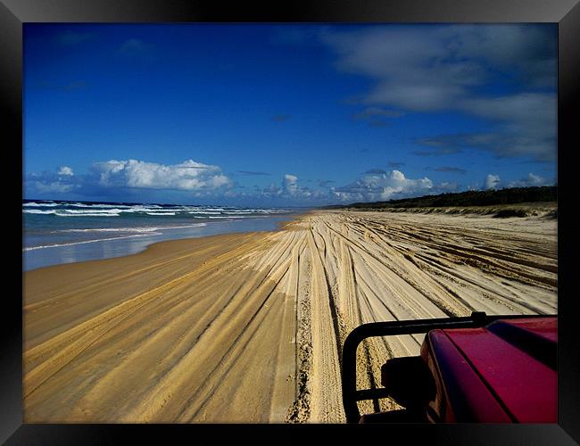 Fraser Island, Queensland, Australia Framed Print by Pete Townshend