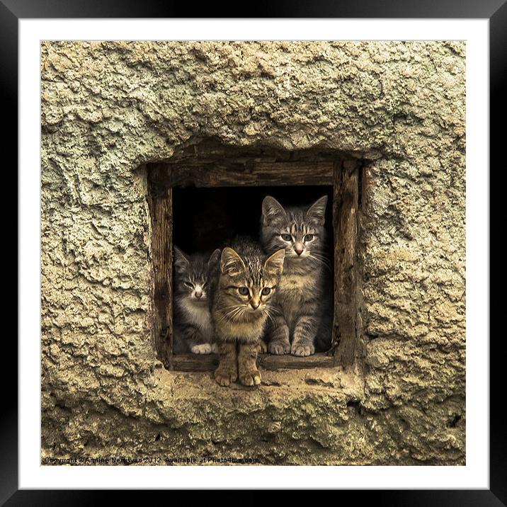 It is warm together Framed Mounted Print by Armine Nersisyan