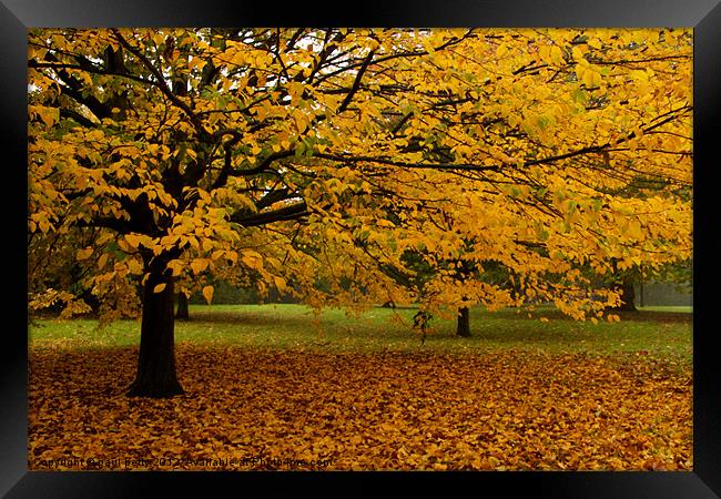 Primrose Hill Leaf Fall Framed Print by paul petty