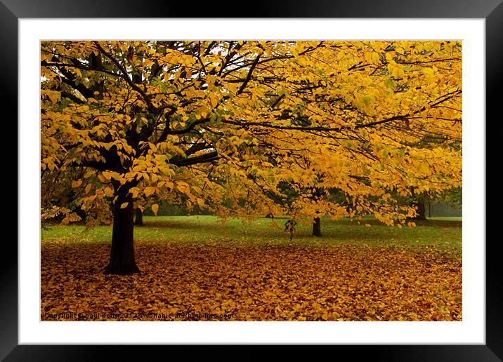 Primrose Hill Leaf Fall Framed Mounted Print by paul petty