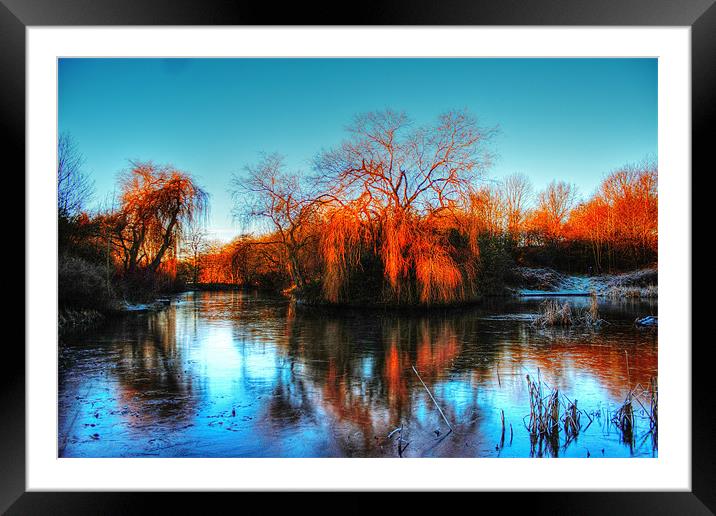 Golden winter trees, landscape Framed Mounted Print by Catherine Davies