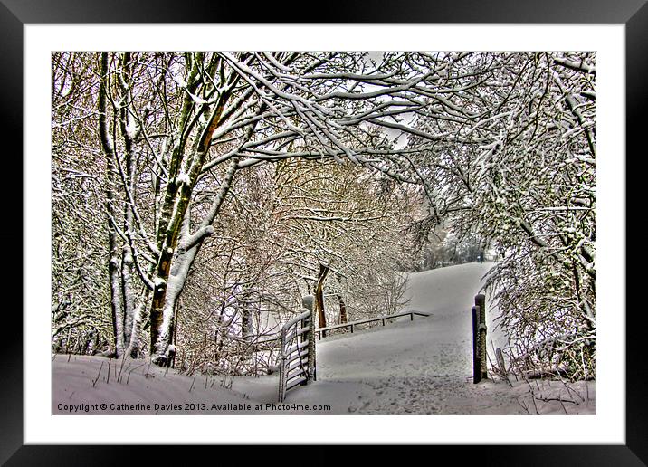 Winter in the park Framed Mounted Print by Catherine Davies