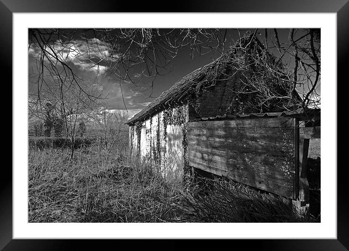 Old Moody Building Framed Mounted Print by Shaun Cope