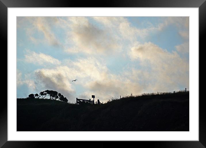 Beach Silhouette Framed Mounted Print by Shaun Cope