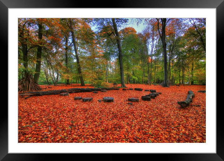 Quarry Woods  Framed Mounted Print by Mick Vogel