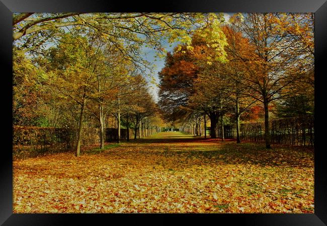 Autumnal Scene At Odney Club Framed Print by Mick Vogel