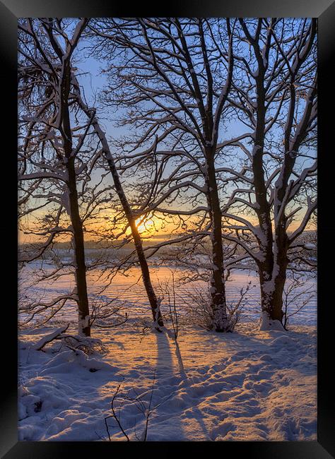 Golden Winter Sunrise Framed Print by Tracey Whitefoot
