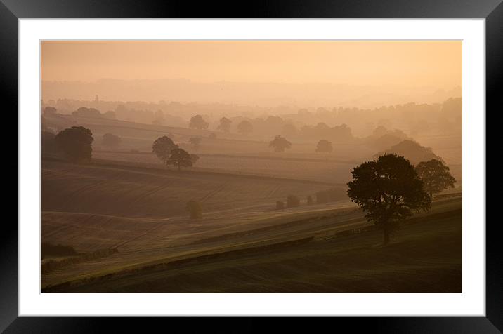 Misty Morning Framed Mounted Print by Tracey Whitefoot
