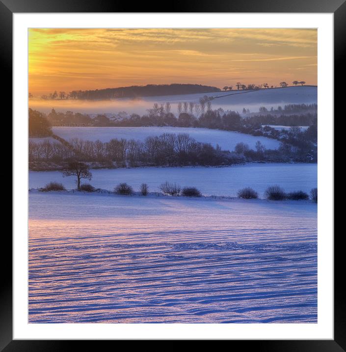 Winter Glow Framed Mounted Print by Tracey Whitefoot