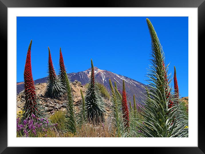 Mt Teide Framed Mounted Print by Tracey Whitefoot