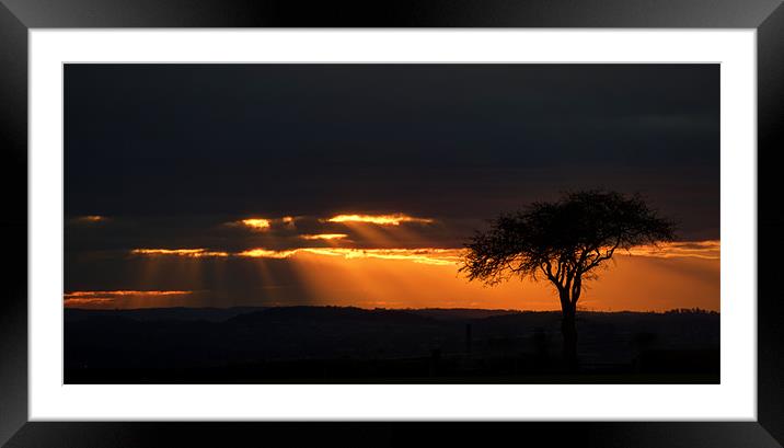 Sunset Rays Framed Mounted Print by Tracey Whitefoot