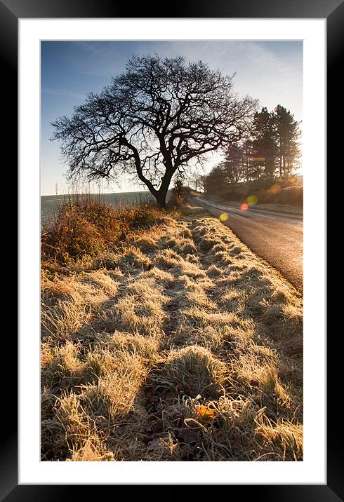 Warm Winter Light Framed Mounted Print by Tracey Whitefoot