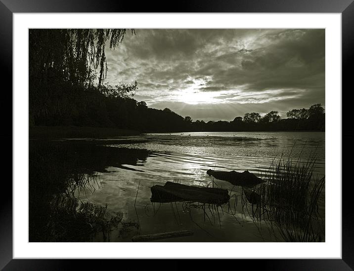 Moody Lake Framed Mounted Print by Tracey Whitefoot