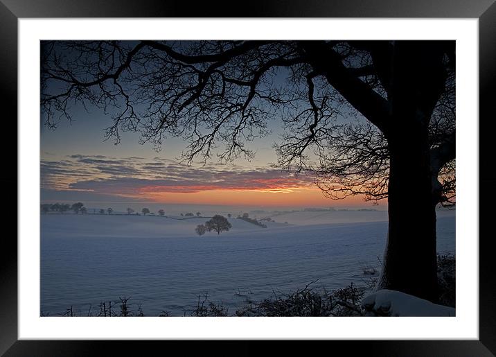 Sunrise Framed Framed Mounted Print by Tracey Whitefoot
