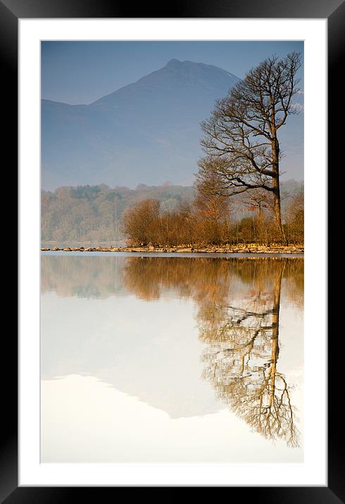 Reflection Framed Mounted Print by Tracey Whitefoot