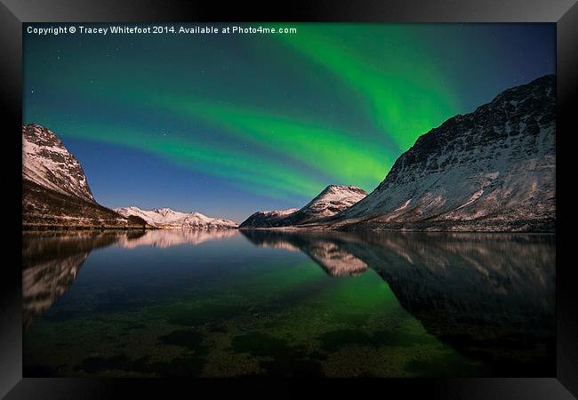 Reflections of Aurora Framed Print by Tracey Whitefoot
