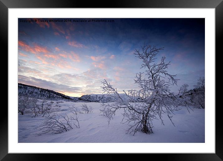 Winter Wonderland Framed Mounted Print by Tracey Whitefoot