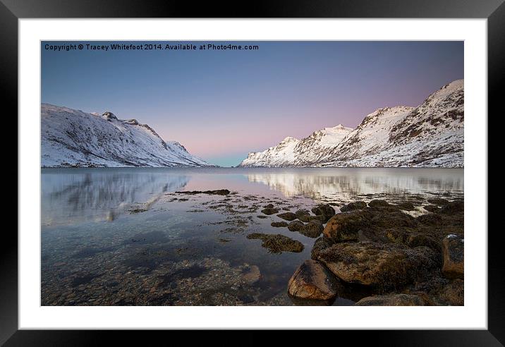 Ersfjordbotn Reflections Framed Mounted Print by Tracey Whitefoot