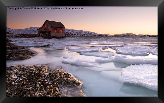 Floating Ice Framed Print by Tracey Whitefoot