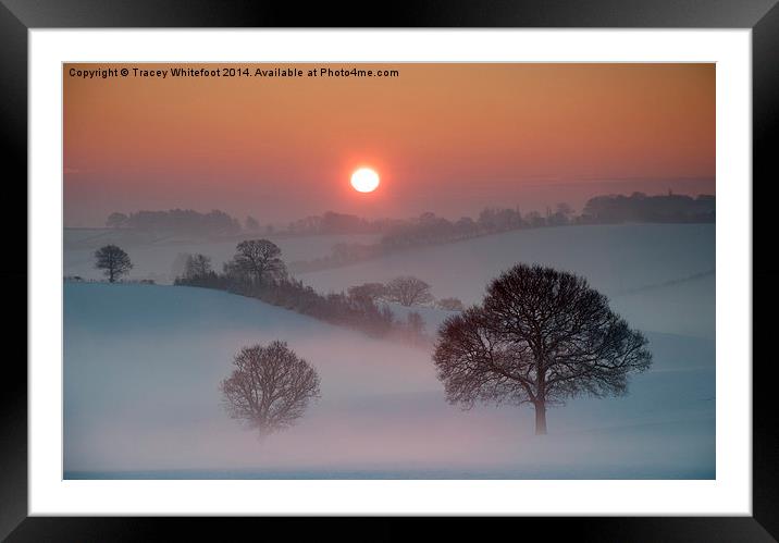 Winter Sunrise Framed Mounted Print by Tracey Whitefoot