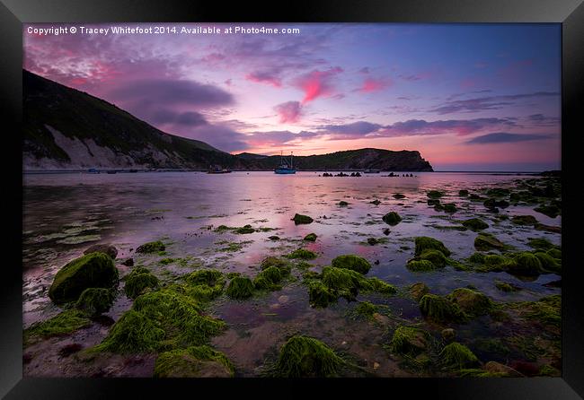 Lulworth Cove Sunrise Framed Print by Tracey Whitefoot