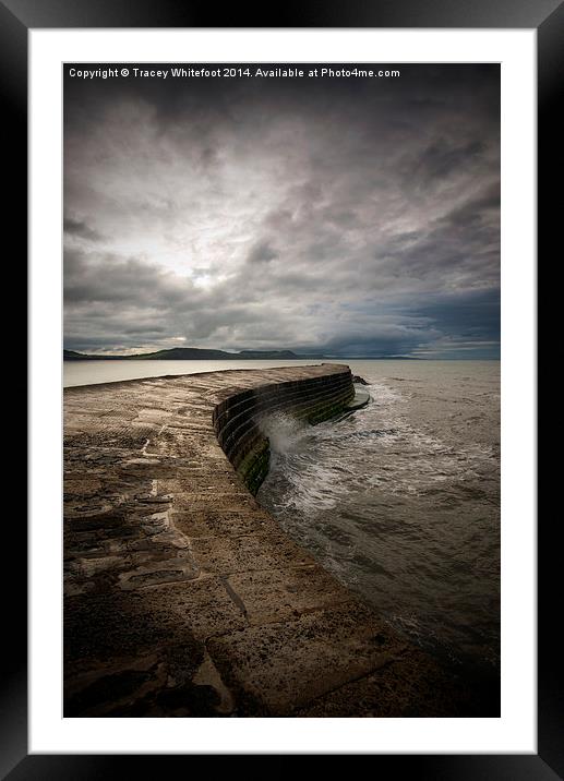 The Cobb Framed Mounted Print by Tracey Whitefoot