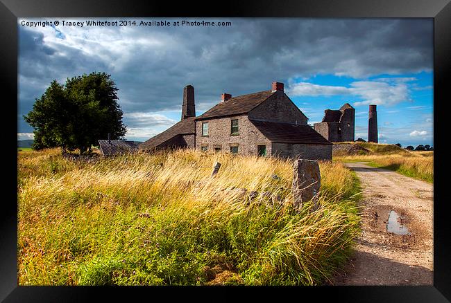 Magpie Mine Framed Print by Tracey Whitefoot