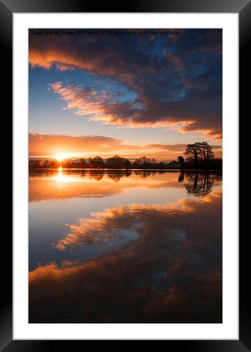 Sunrise Symmetry  Framed Mounted Print by Tracey Whitefoot
