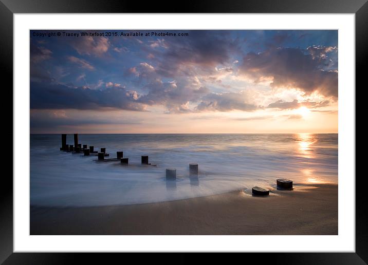 Cape May Sunset   Framed Mounted Print by Tracey Whitefoot