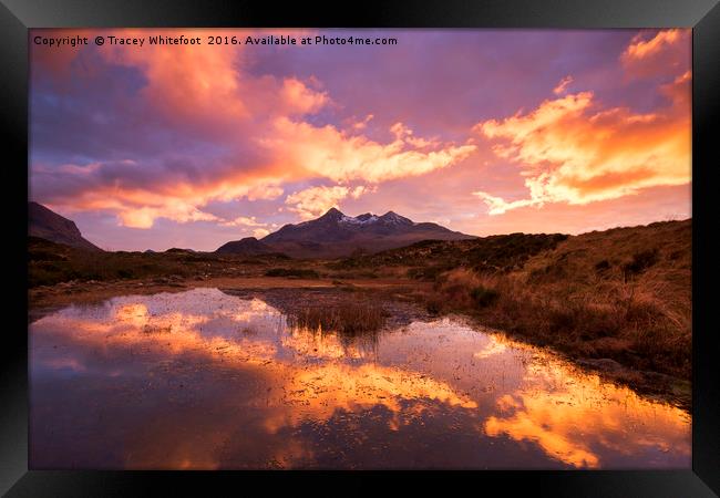 Set fire to the Skye Framed Print by Tracey Whitefoot