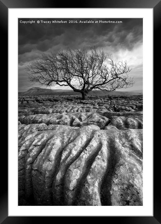 Scarred Landscape (Mono) Framed Mounted Print by Tracey Whitefoot