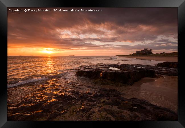 Bamburgh Gold  Framed Print by Tracey Whitefoot