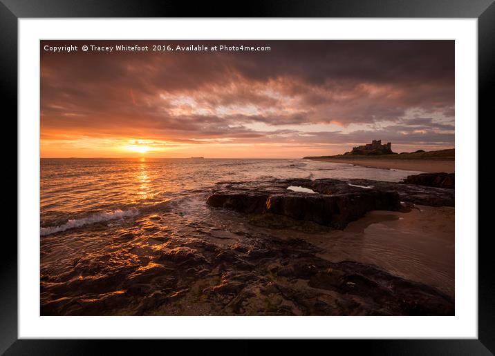 Bamburgh Gold  Framed Mounted Print by Tracey Whitefoot