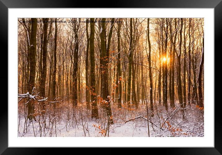 When Autumn Meets Winter  Framed Mounted Print by Tracey Whitefoot